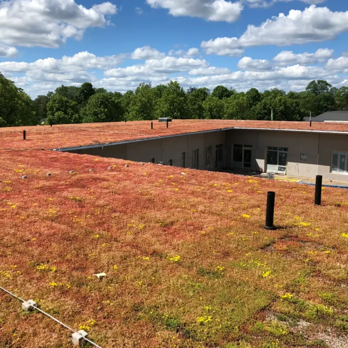 Sedum tar hand om dagvatten på tak. Sedumtak från VegTech på Psykiatriakuten Växjö