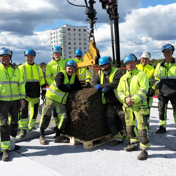 Sedumtak på Psykiatribyggnad Kalmar