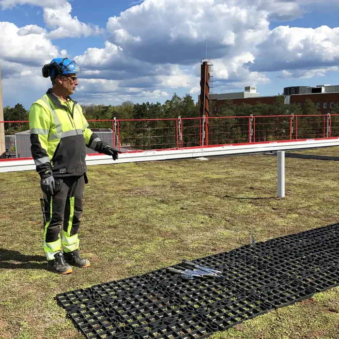 Sedumtak på Psykiatrisjukhuset i Kalmar 2020