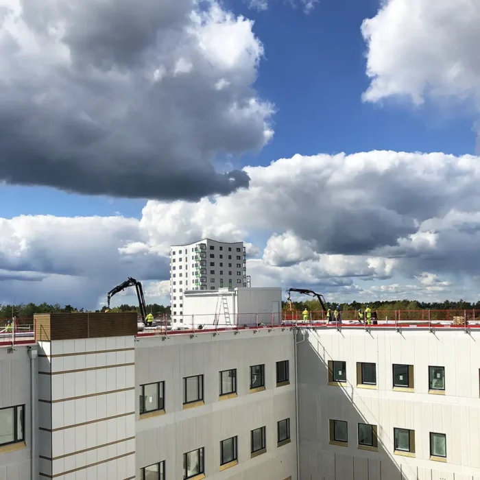 Sedumtak på Psykiatrisjukhuset i Kalmar 2020