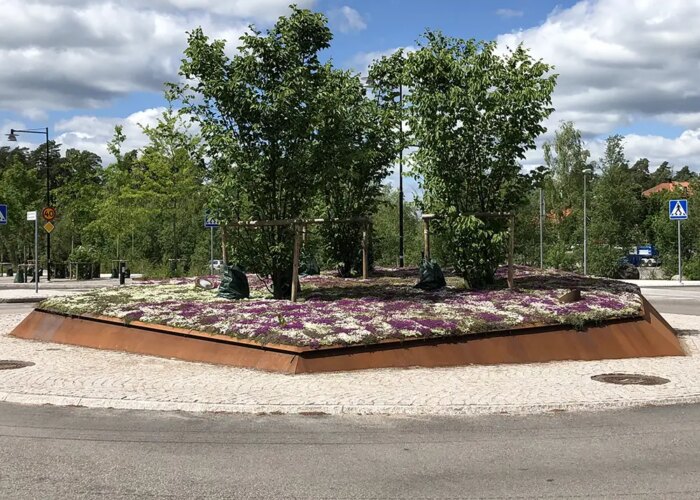 VegTech Perennmattan Timjan mix