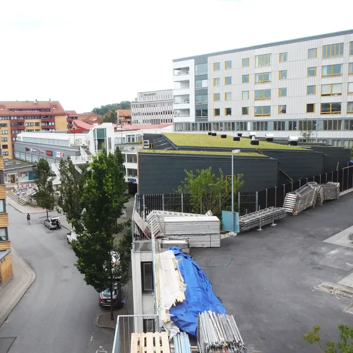 Sedumtak på masthuggsterassen i Göteborg