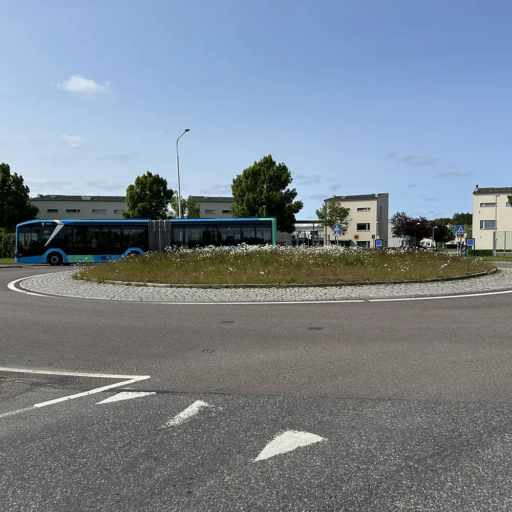 Torrängsmatta anlagd i Göteborg