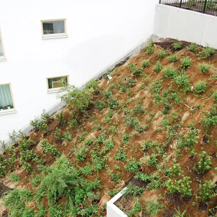 Slänter kan säkras upp med Kokosnät som erosionsskydd till mark- och vattenmiljöer