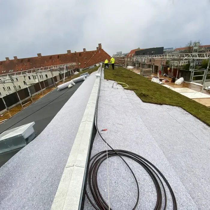 Droppbevattning säkerställer en stark etablering