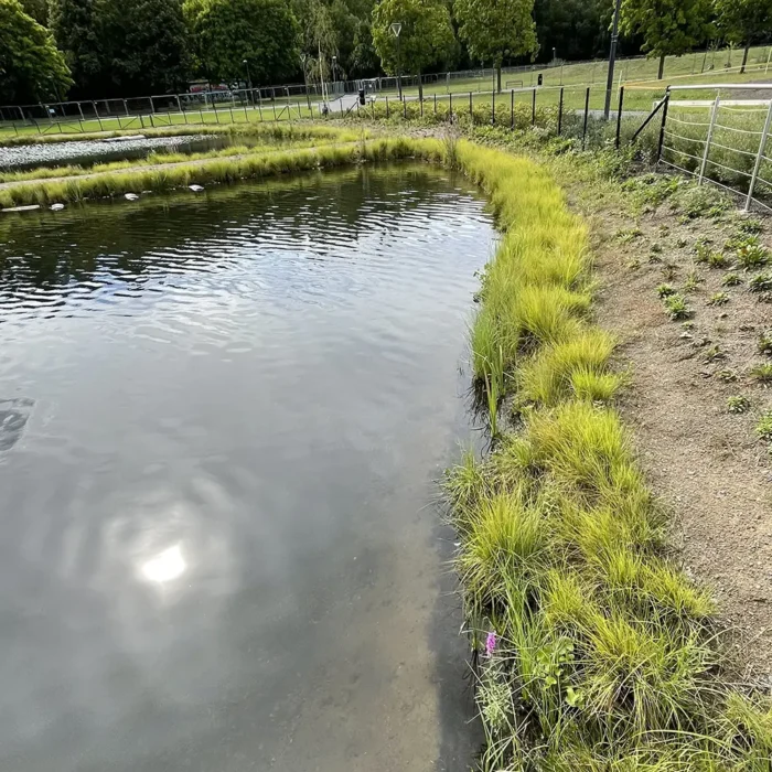 Fittja dagvattenpark