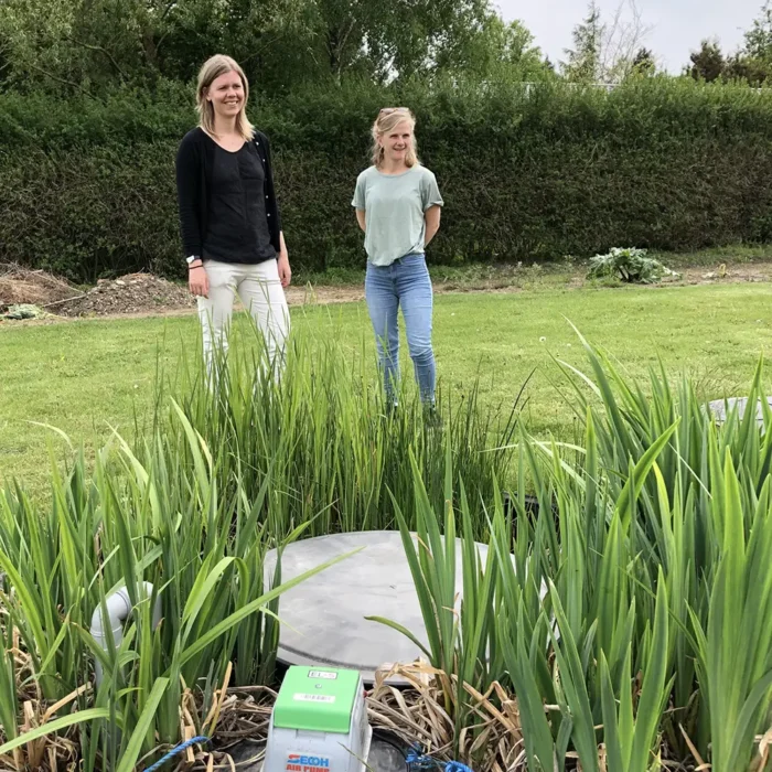 Vattenväxter till Bioreningsverk