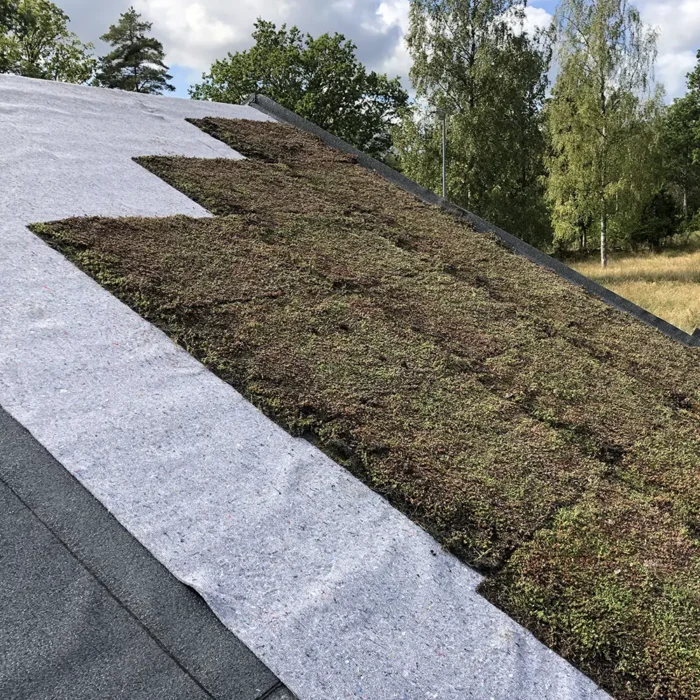 Sveriges första sedumtak med biokol. Ödevata gårdshotell Sveriges första sedumtak med biokol