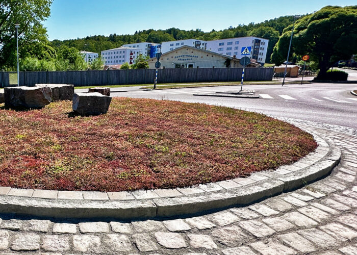 Marksedum kokos i rondell Kungälv