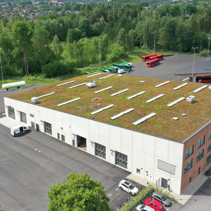 Sedumtak på Elbussdepå i Växjö. Juni 2025 Sedumtak på Elbussdepå i Växjö