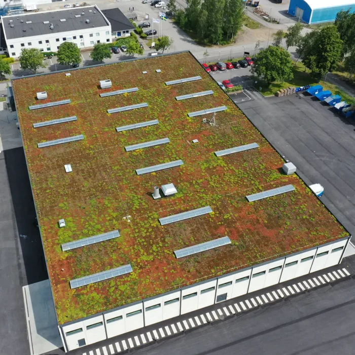 Sedumtak på Elbussdepå i Växjö. Juni 2025 Sedumtak på Elbussdepå i Växjö