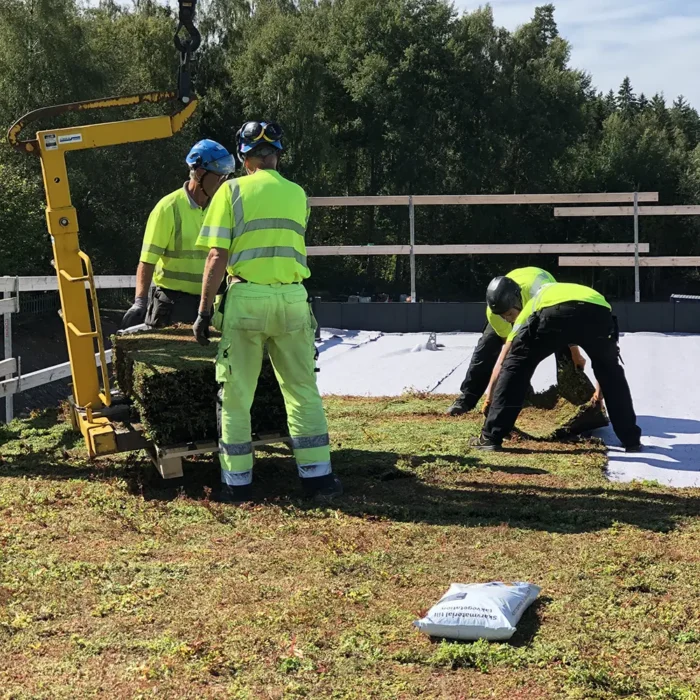 Montage av sedumtak på Elbussdepå i Växjö 22 september 2022 Montage av sedumtak på Elbussdepå i Växjö 22 september 2022