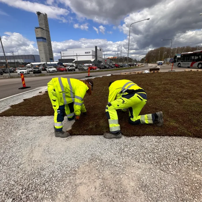 Marksedum kokos i rondell i Karlskrona