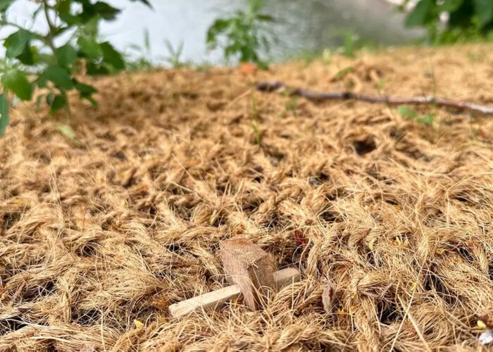 Kokosnät i slänter