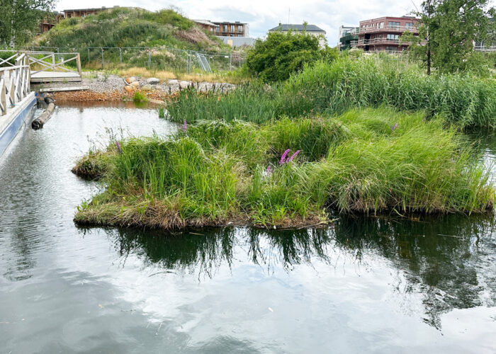 Flytande våtmark anlagt vid utlopp i Kalmar innerstad