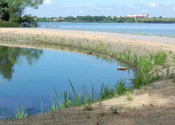 Kokosnät i slänter