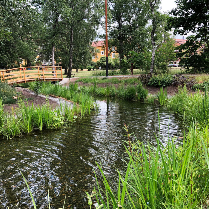 Strandmatta pryder parkdamm på Lidingö