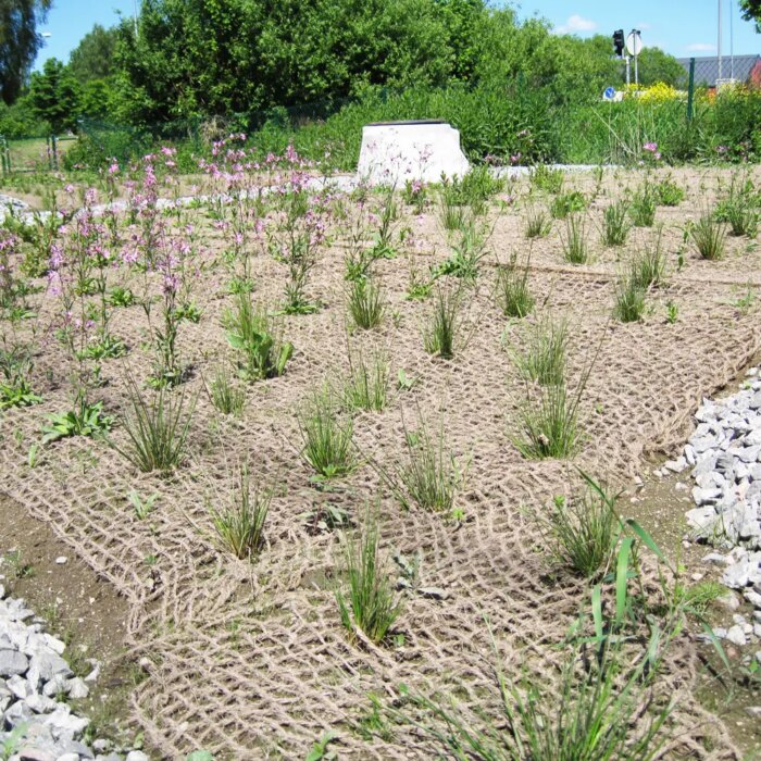 Kokosnät används vid plantering av växter i slänter. Det skyddar mot erosion