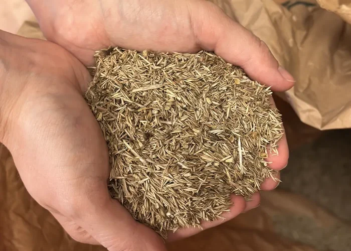 VegTech Ängsfröblandning 6703