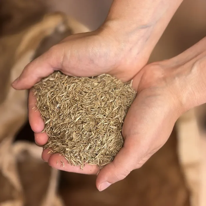 VegTech Ängsfröblandning 6704