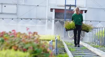 VegTech odling