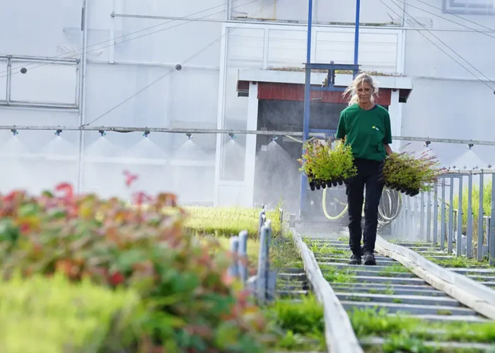 VegTech odling