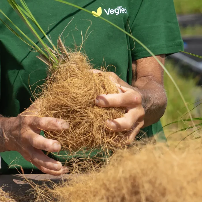 VegTech arbetar med växtlösningar för en grönare värld