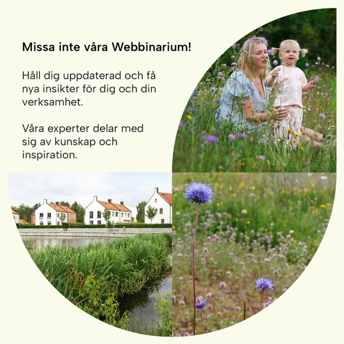 Webbinarium med VegTechs experter
