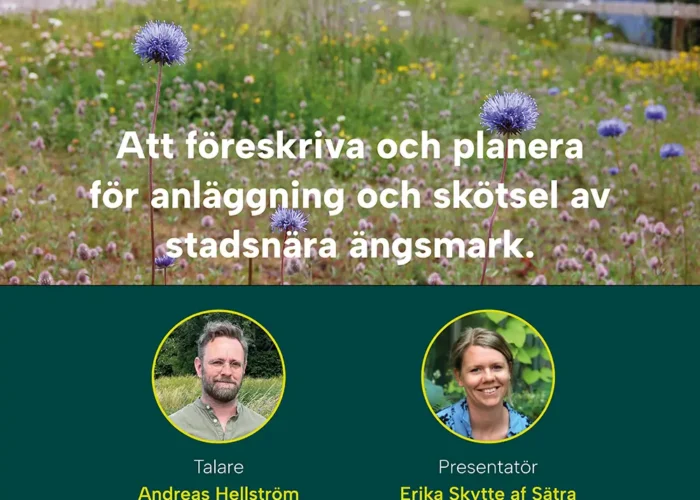 Webbinarium äng