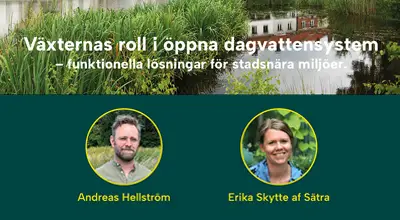 Webbinarium dagvatten