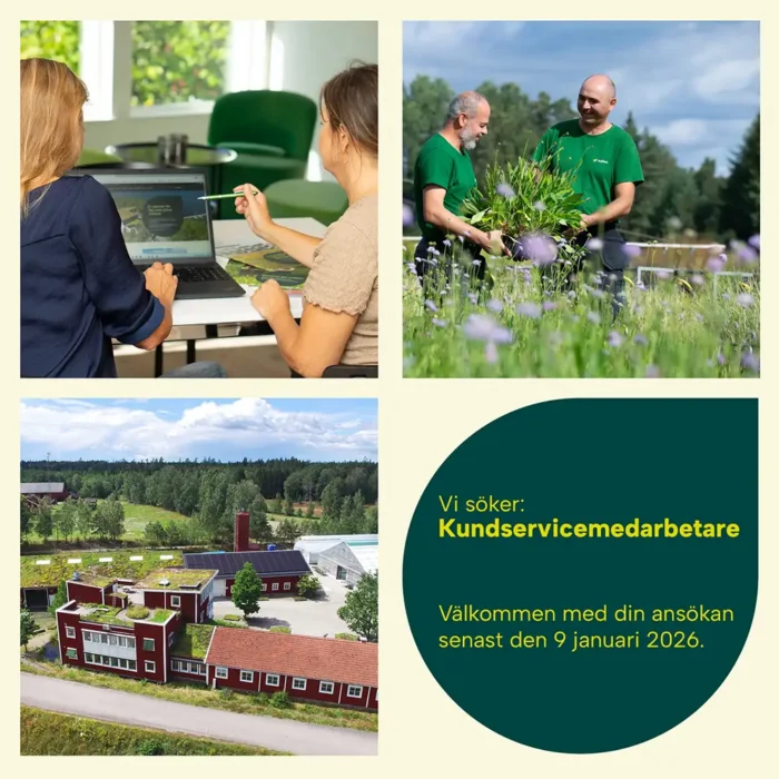 Kundservicemedarbetare