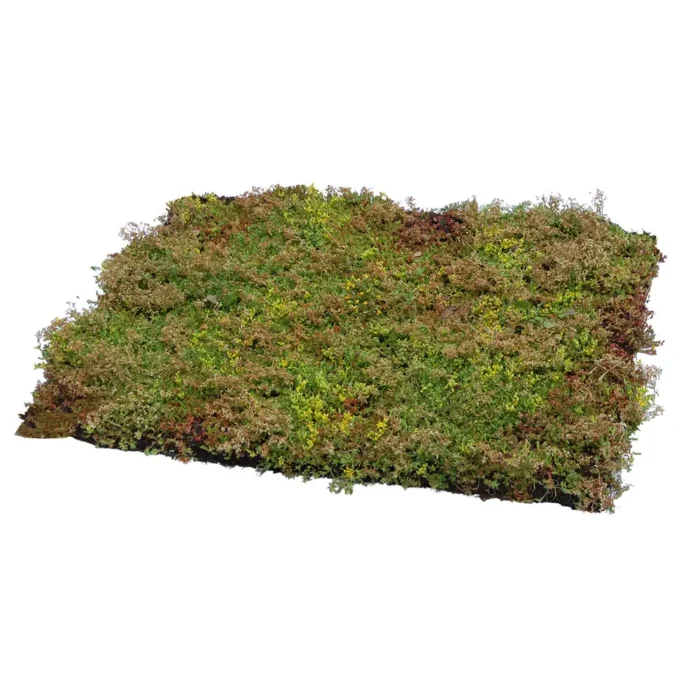 VegTech Sedummatta med biokol