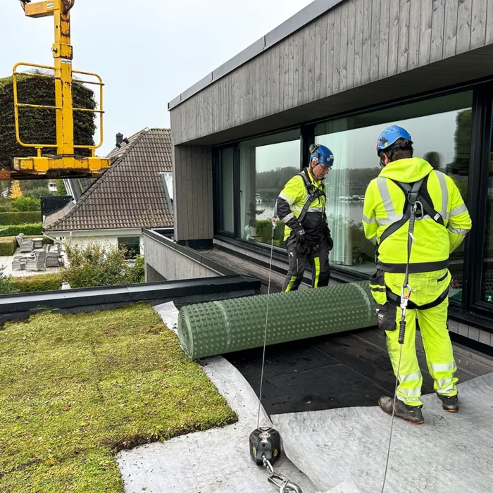 DMV 20 dräneringsmatta