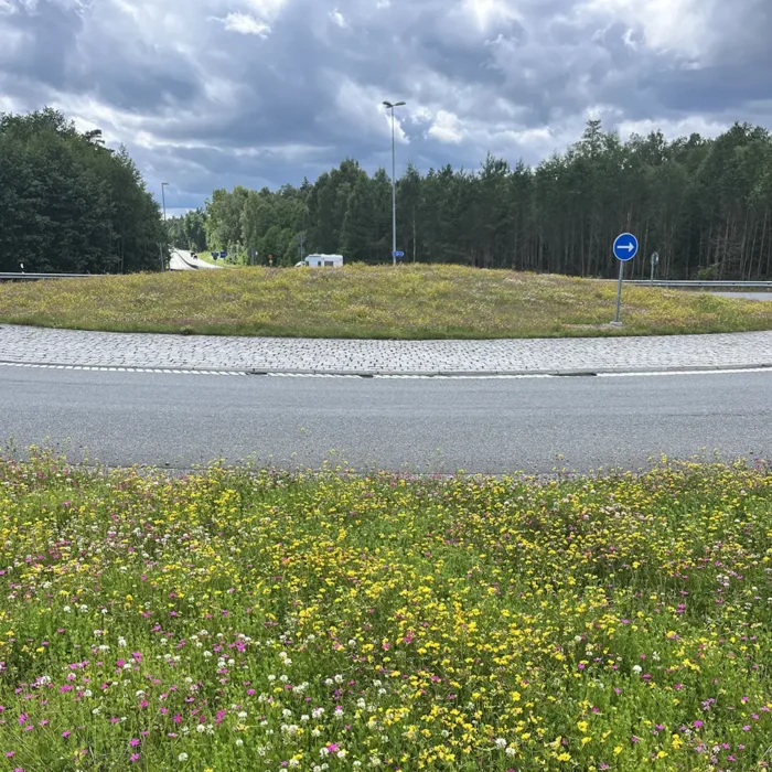 Ännu en sida