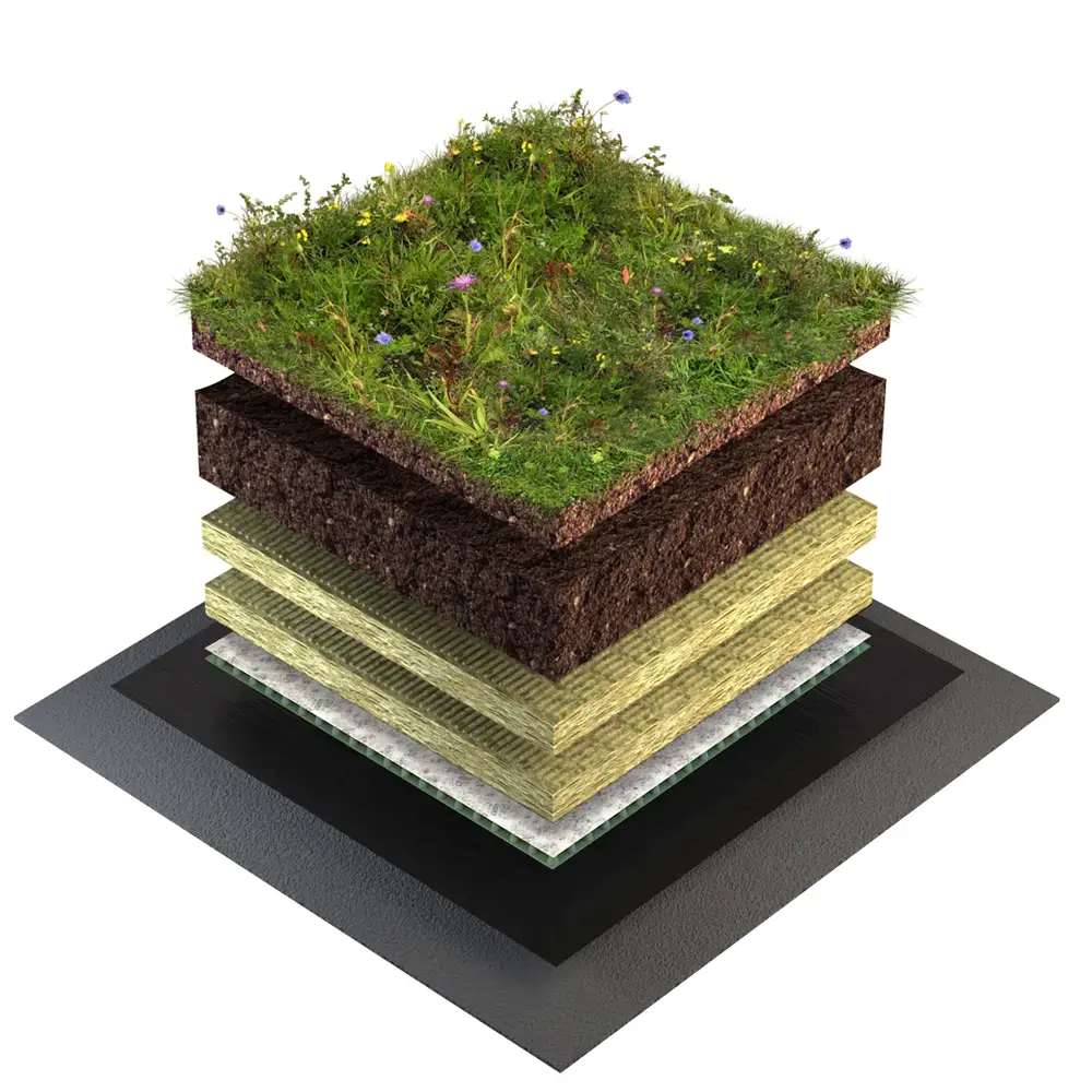 Gröna tak ängs- och gräsytor