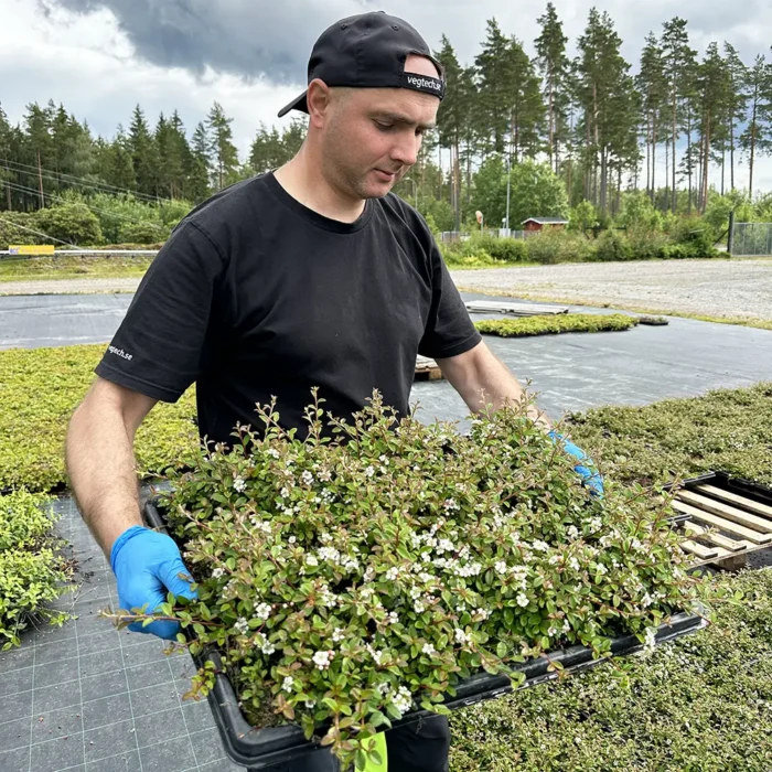 För dig med