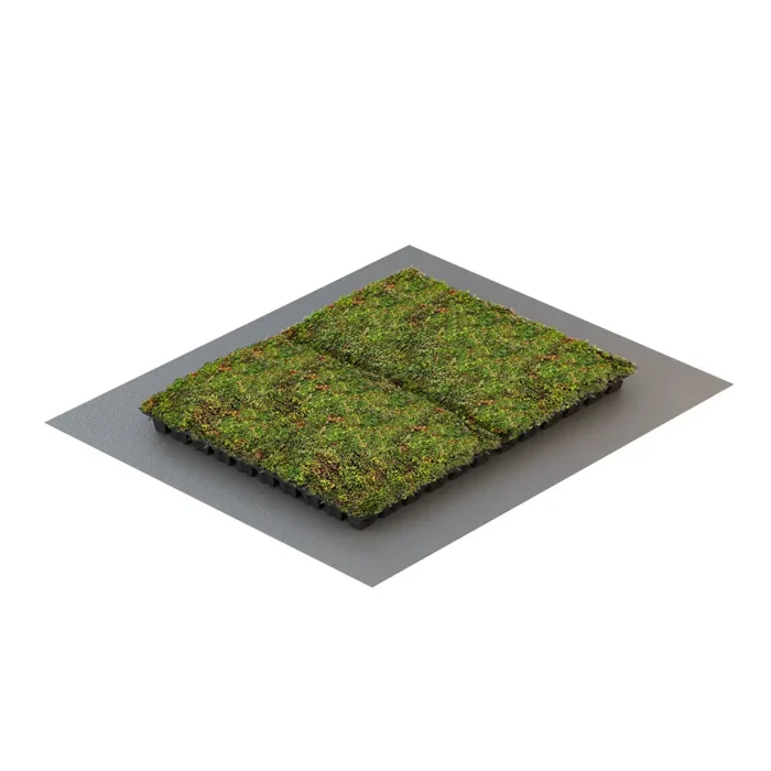 VegTech Sedumback