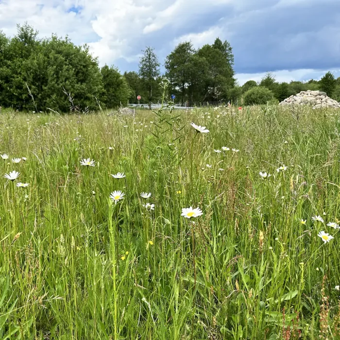 Anilla rastplats anlagd med svenskäng