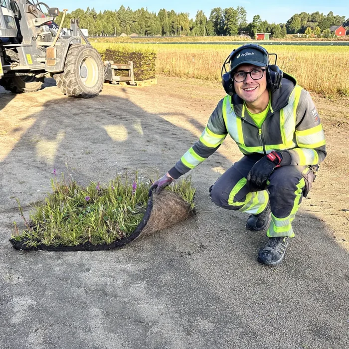Leverans av fukttålig ängsmatta från frilandsodlingen