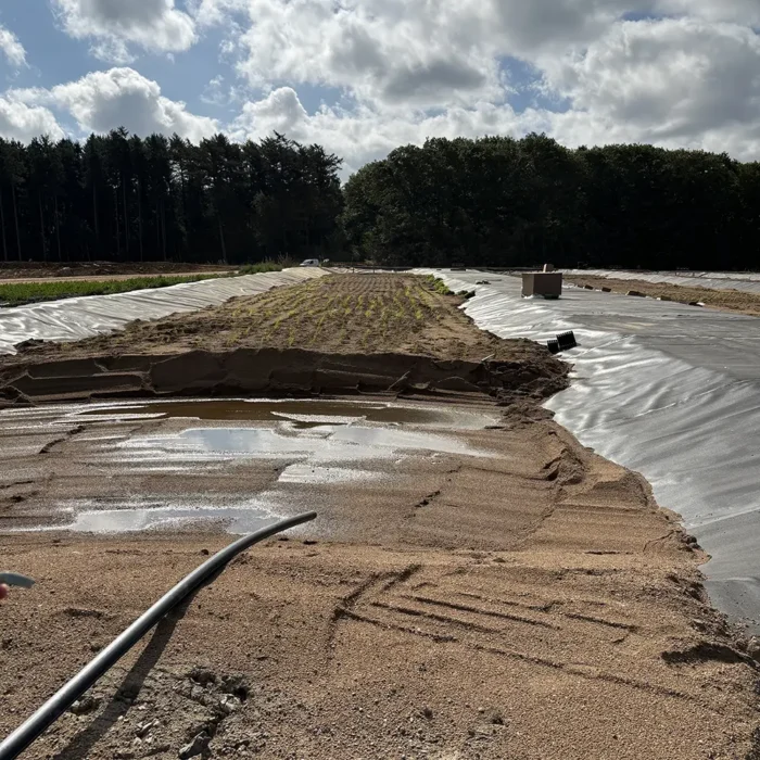 Lakvattenrening i deponi NSR