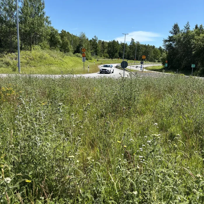 Saltäng i rondell i Bromölla. Fyra år efter montage