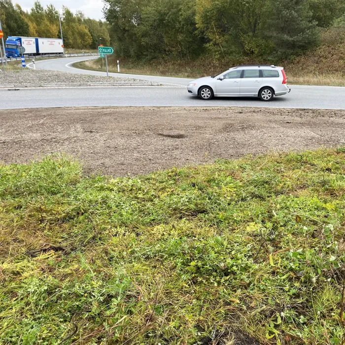 Rondell Saltäng Bromölla