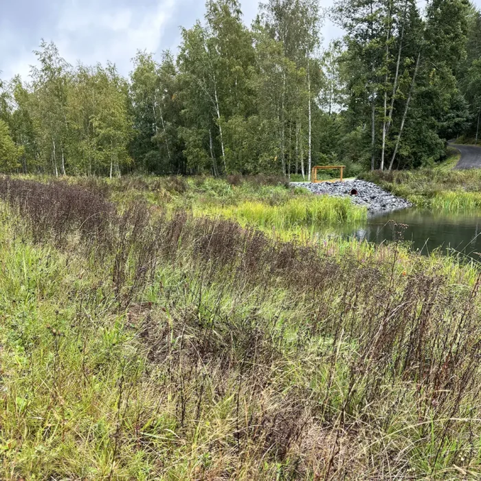 Jutskåran Dagvattendamm Haninge
