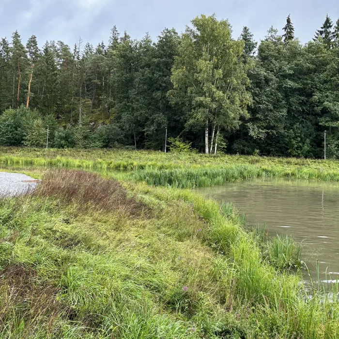 Jutskåran Dagvattendamm Haninge