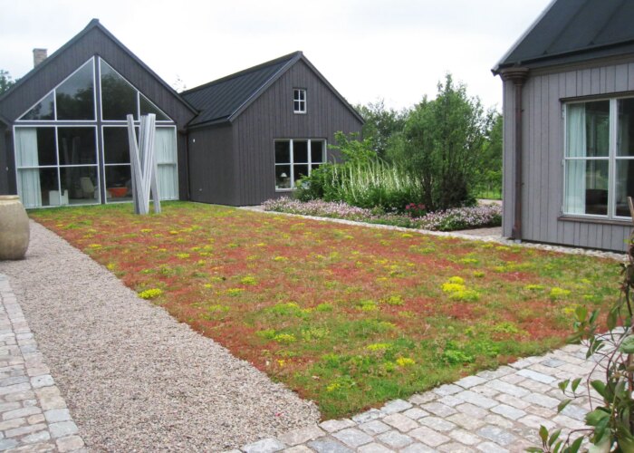 VegTech sedummåtte med biokul