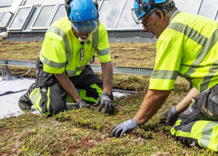 VegTech tilbyder både materialelevering og entreprenørarbejde