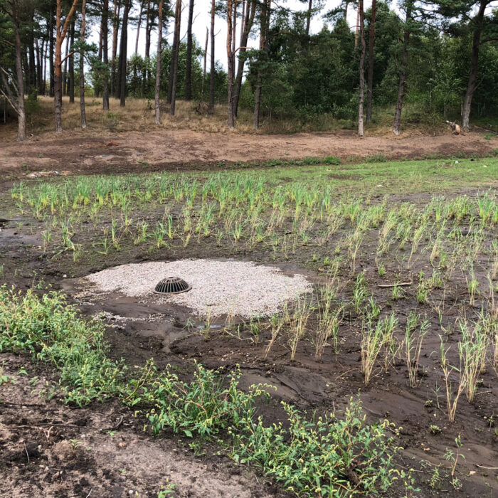 Urteplugplanter anlagt ved affaldsanlæg