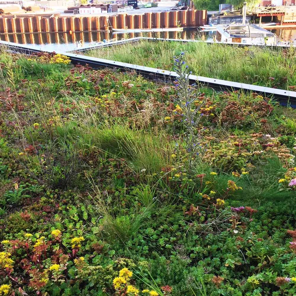 VegTechs Tørengstag forsinker og optager regnvand