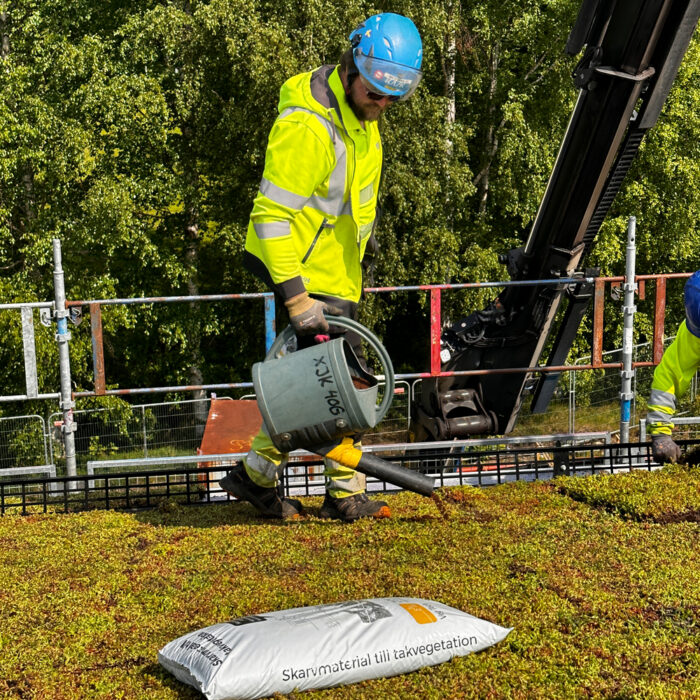 VegTech har store arealer til dyrkning af sedum og eng.