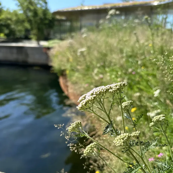 salteng operaparken salteng operaparken